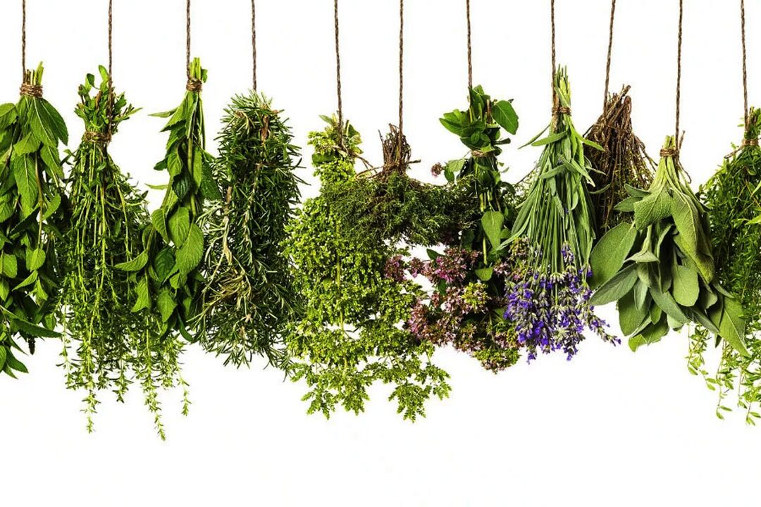 tropisch kruidenextract in Eroboost